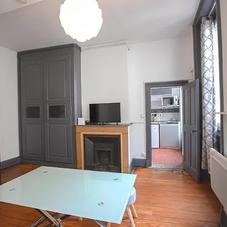 Cosy De Vienne (Isere)